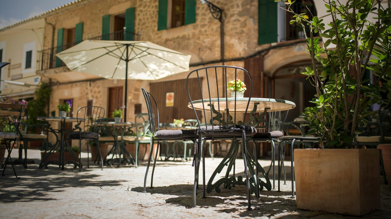 Discover Mallorca