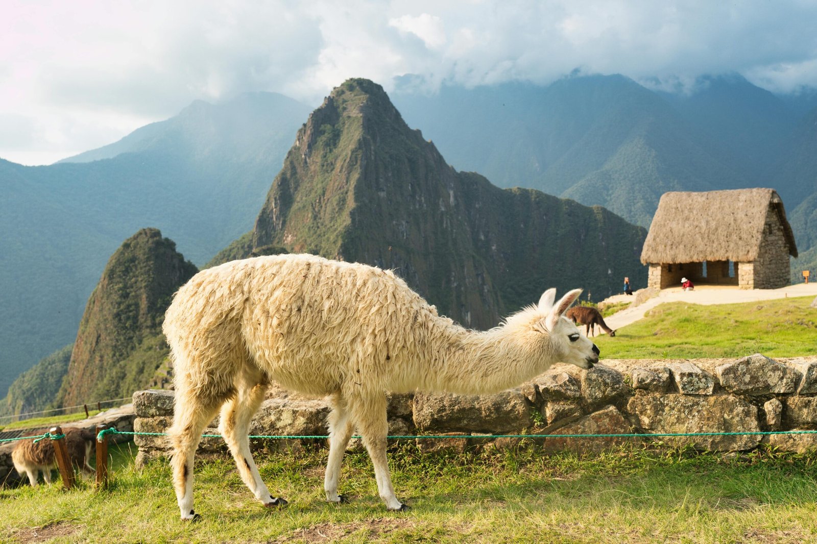 Discover the New Machu Picchu Tour Circuits: Your Ultimate Guide to 2024