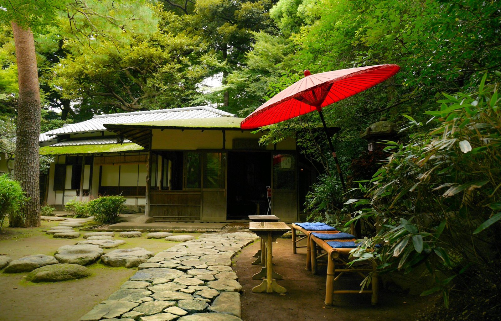Discover 20 Unforgettable Airbnbs in Tokyo for 2025: The Ultimate Traveler